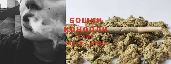 бошки Бронницы